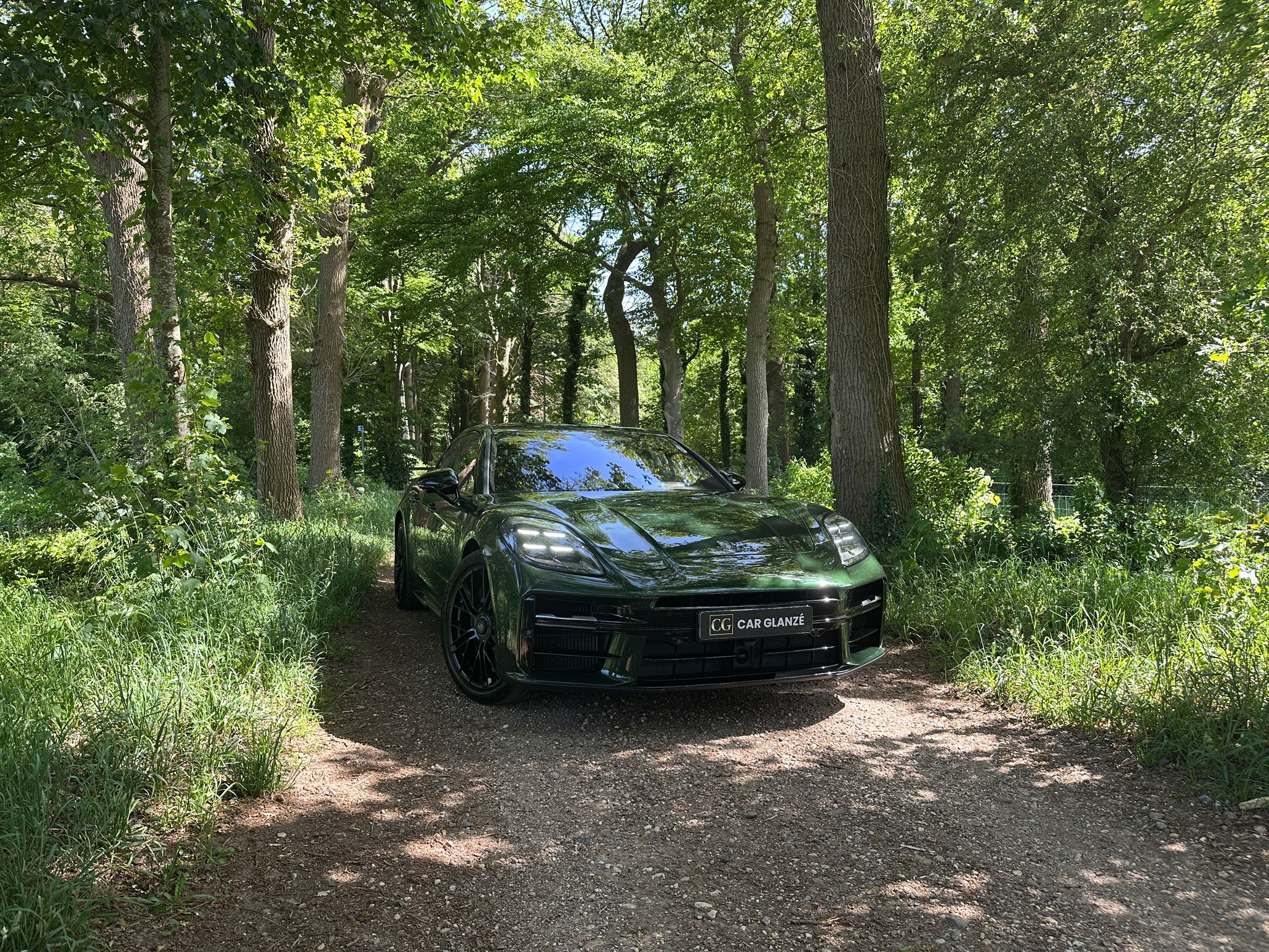 Porsche Panamera voorzijde in bosrijke omgeving